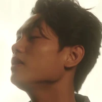 Bùi Trường Linh(a)