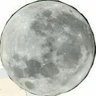 All (-ai thì trừ)