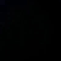 Nhân Vật Tổng Hợp