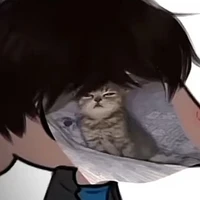 Vdarh