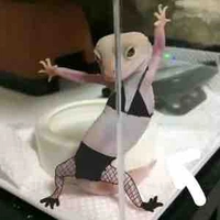 Chị gái nhỏ thằn lằn 