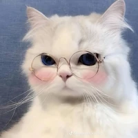 hà my