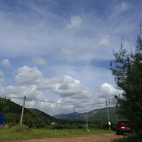 Bạch nguyệt quan