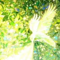 Trương Tùng Dương