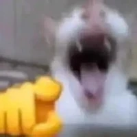 hệ thống mồm lèo