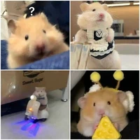 4 con báo
