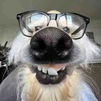 Hệ thống Siêu thông minh 🧠 