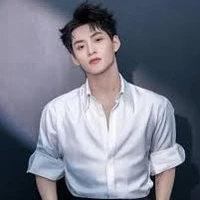 Huỳnh Hoàng Hùng (Gemini Hùng Huỳnh)