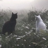 Khanhh Bangg[Tác giả]