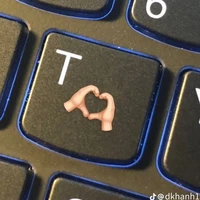 T ( t/g, toy, tao, tớ )