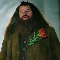 Hagrid