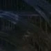 Học sinh Hogwarts