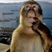 Author: Nguyệt Nguyệt