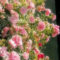 all