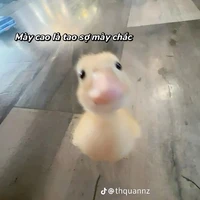 Mặt Nạ Đỏ