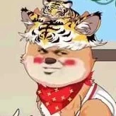 hệ thống