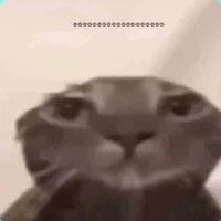 ？？？