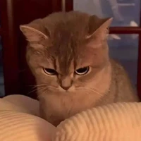 Linhiu < tác giả đgaiii