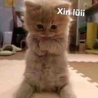 All-ai trừ thì trừ