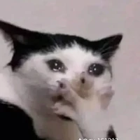T/g mê Chitta 💖