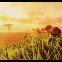 hệ thống: acc roblox t:)