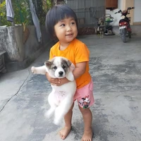 tác giả