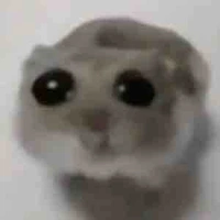 Ai đây😈😈😈