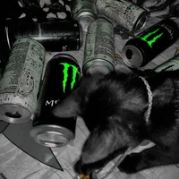 #𝐇𝐨𝐚𝐡𝐨𝐧𝐠 🌹