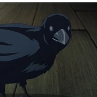 ukogi