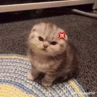 T/g hay lo chuyện bao đồng