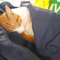 meocheee