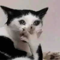 T/G láo toét