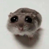 All[Trừ Ai Thì Trừ]