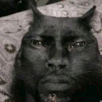 Tg sai đẹp giếu