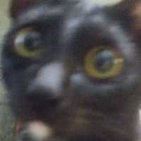 t/g