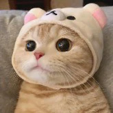 Moop