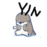 Y/N