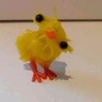 tacgia