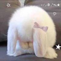 Tác giả 1 (thỏ bum - Hoonne)