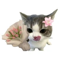 t/g cteee ᴥ