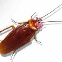 mn có mặt tại đó