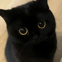 Yami