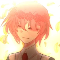 TT hiha