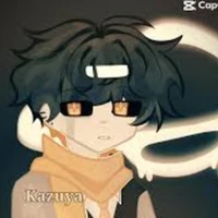 hiha black hole