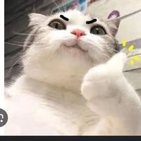 ？？？