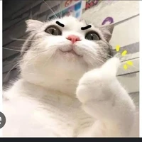 hệ thống 001 (ry)