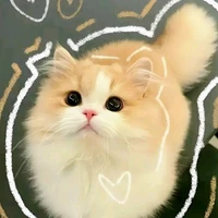All° Bot {tự trừ}