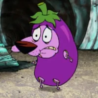 Y/n