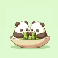 Zin đayyy