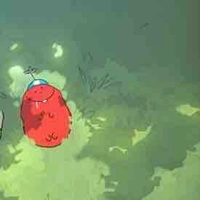 𝙲𝟶𝟶𝚕𝚔𝚒𝚍